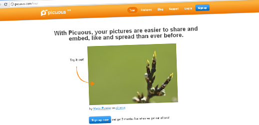 picuous